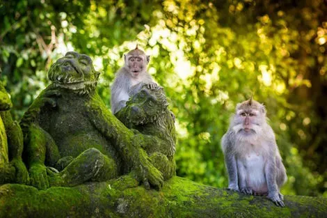 Combiné circuit et hôtel Bali : combiné Ubud & plage : 5 nuits Ubud & 4 nuits Sanur - Hôtels Supérieurs denpasar Bali