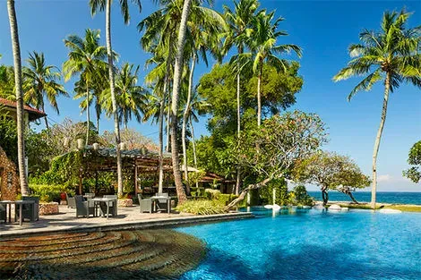 Restaurant Bawang Putih