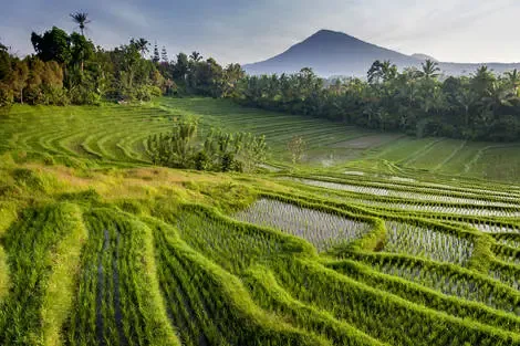 Combiné circuit et hôtel Merveilles de Bali & extension Aston Kuta denpasar Bali