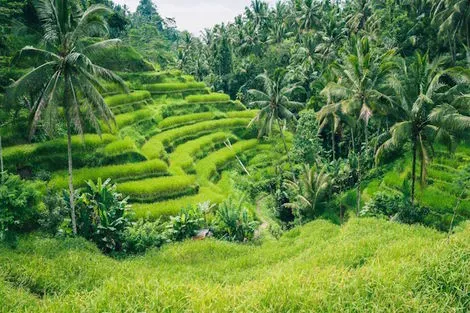 Circuit Esprit Balinais - Privatif 2027 denpasar Bali