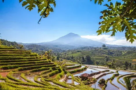 Circuit Indonésie, de Bali à Lombok (petit groupe - 6-12 pers.) denpasar Bali