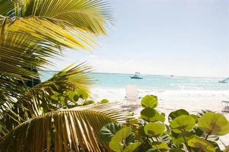 Hôtel Palm Garden Hotel bridgetown BARBADE