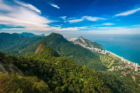 Forêt de Tijuca