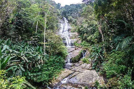 Taulay forêt de Tijuca