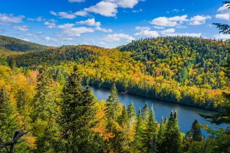 Mauricie