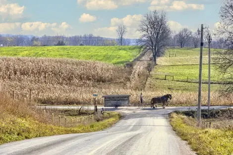 Pays amish