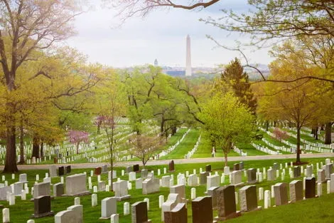 Washington (Arlington)