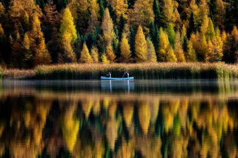 Mauricie