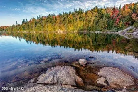 Circuit Canada Est - Nature et culture - 35 personnes maximum toronto Canada