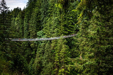 Pont Capilano