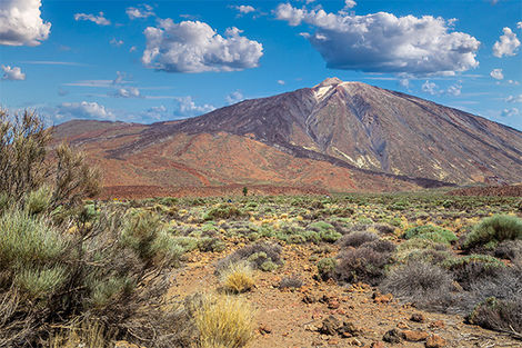 Parc National du Teide