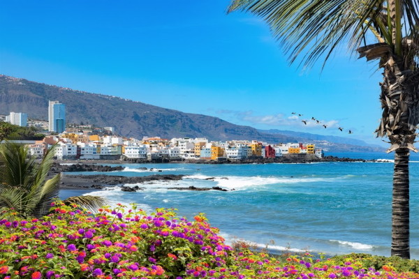 Canaries : Hôtel Coral Villas La Quinta