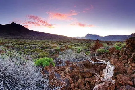 Circuit Échappée sentiers de Ténérife depuis l'hôtel Riu Buenavista 4* - Arrivée Ténérife Nord tenerife Canaries