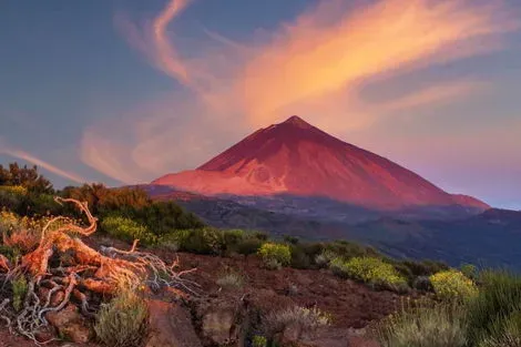 Circuit Echappée sentiers de Ténérife depuis l'hôtel Hard Rock Hôtel Ténérife 5* - Arrivée Tenerife Sud tenerife Canaries