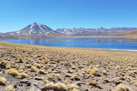 Laguna Miscanti & Miniques