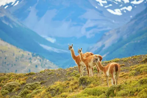 Torres del Paine