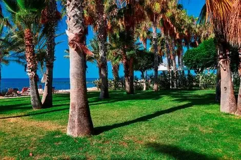 Hôtel Louis Phaethon Beach paphos CHYPRE