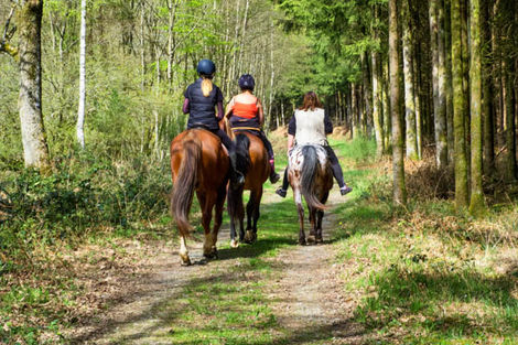 Balade à cheval