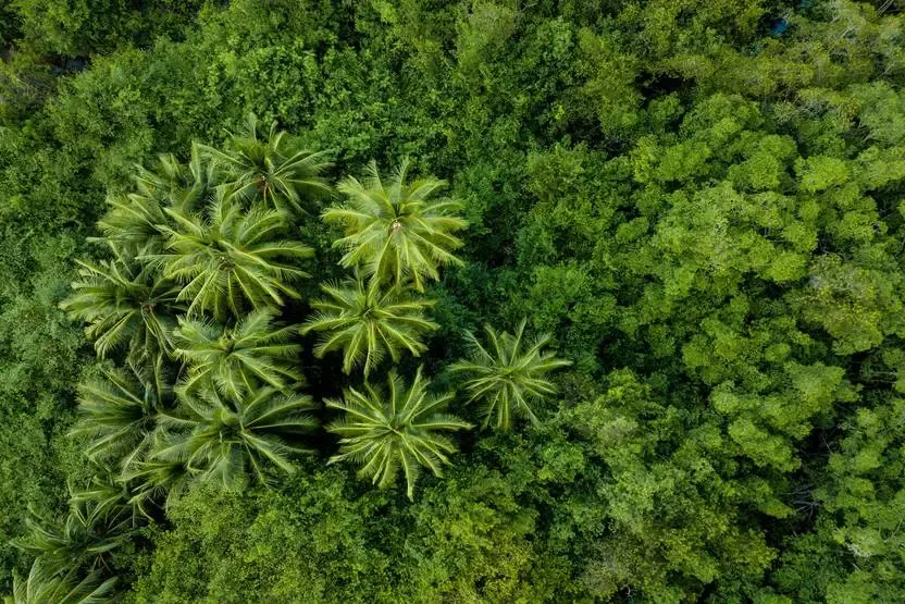 séjour Costa Rica - Autotour Entre volcans et forêts, l'âme du Costa Rica