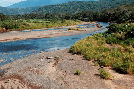 Parc National Carara