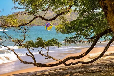 Combiné circuit et hôtel Entre Jungles et Forêts du Costa Rica & Tortuguero (petit groupe) + extension Playa Tambor san_jose Costa Rica