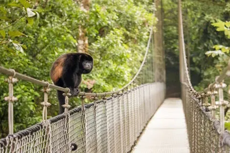 Autotour Les Splendeurs du Costa Rica san_jose Costa Rica