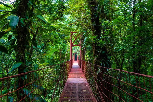 Circuit Découverte du Costa Rica Costa Rica - Promovacances