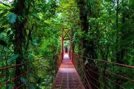 Circuit Découverte du Costa Rica san_jose Costa Rica