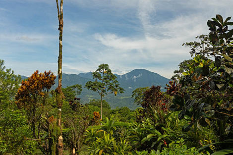 Tenorio