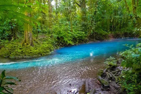 Autotour Faune & Flore du Costa Rica san_jose Costa Rica