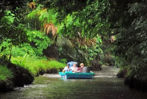 Tortuguero