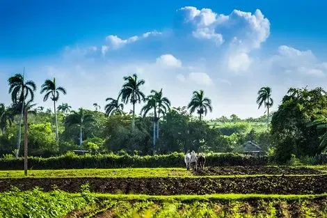 Santa Clara