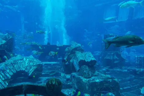 Aquarium Lost Chambers
