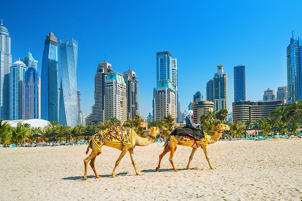 Dubai et les Emirats : Hôtel Al Seef Heritage Dubai, Curio Collection by Hilton