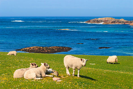 L'île de Iona