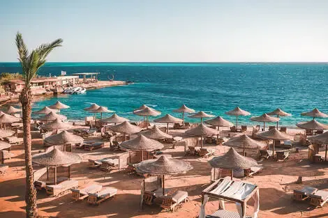 Ananea Hôtel Hurghada Adult Only 18+ hurghada Egypte