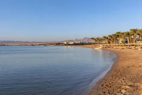 Egypte : Hôtel Palm Royale Resort Soma Bay