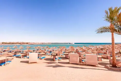 Egypte : Hôtel Pickalbatros Dana Beach