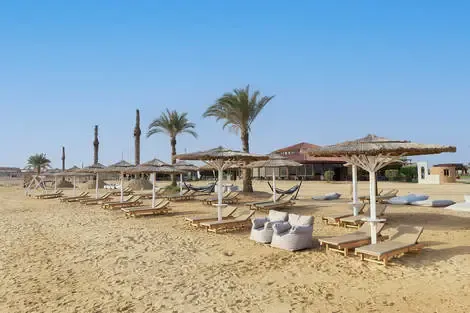 Egypte : Hôtel True Beach Resort