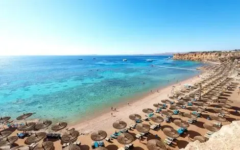 Hôtel Reef Oasis Beach Resort sharm_el_sheikh EGYPTE