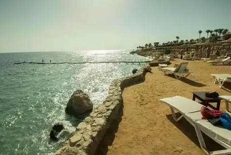Hôtel Sharming Inn sharm_el_sheikh EGYPTE