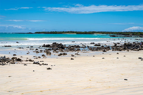 Galapagos - Santa Cruz