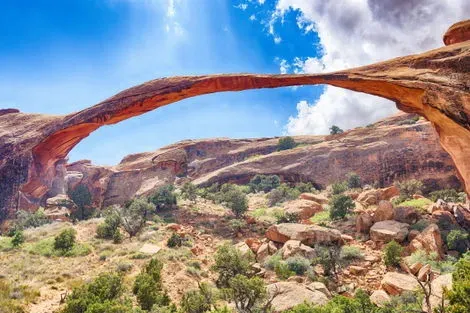 Arches