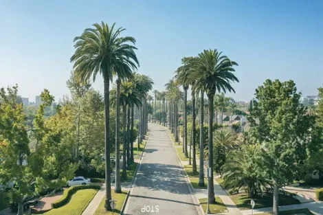 Beverly Hills