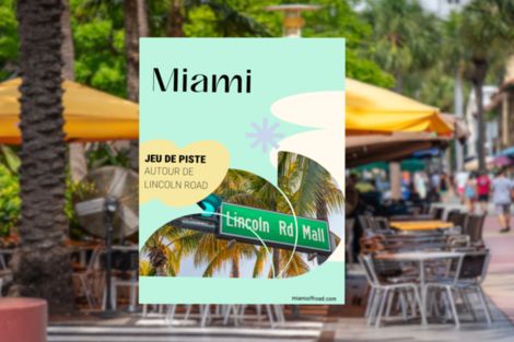 Jeu de psite - Immersion by Fram à Miami