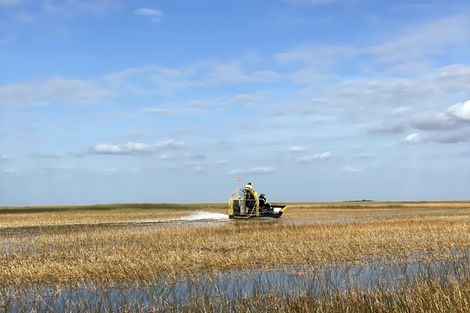 Tours aux Everglades