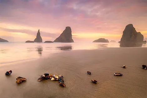 Bandon