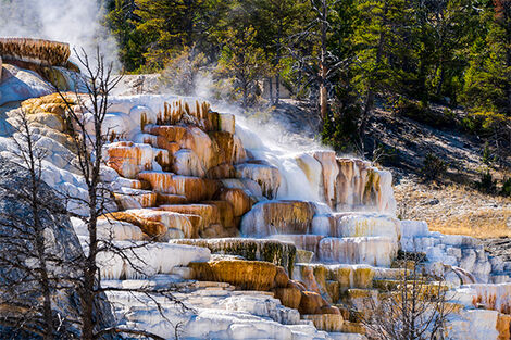 Yellowstone - Mammoth Hot Springs
