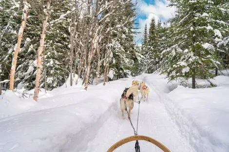 vol+hotel Sejour Club Jumbo Tankavaara Gold Village (activités incluses) 4* Finlande Ivalo