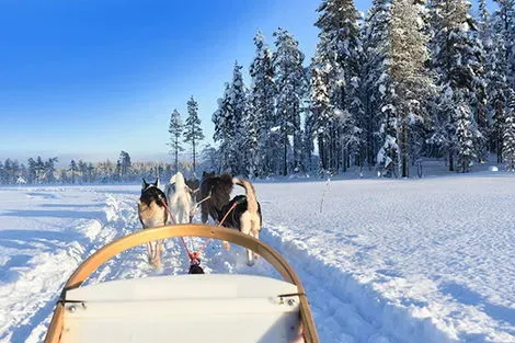 Finlande-Kittila, Hôtel Sirkantahti 3* : Escapade lapone